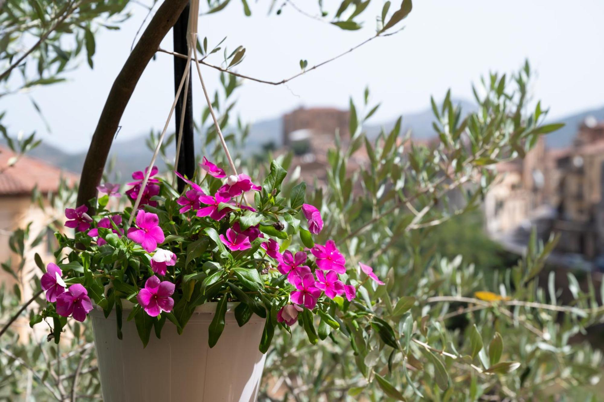 Panorama Castelbuono (Sicily)