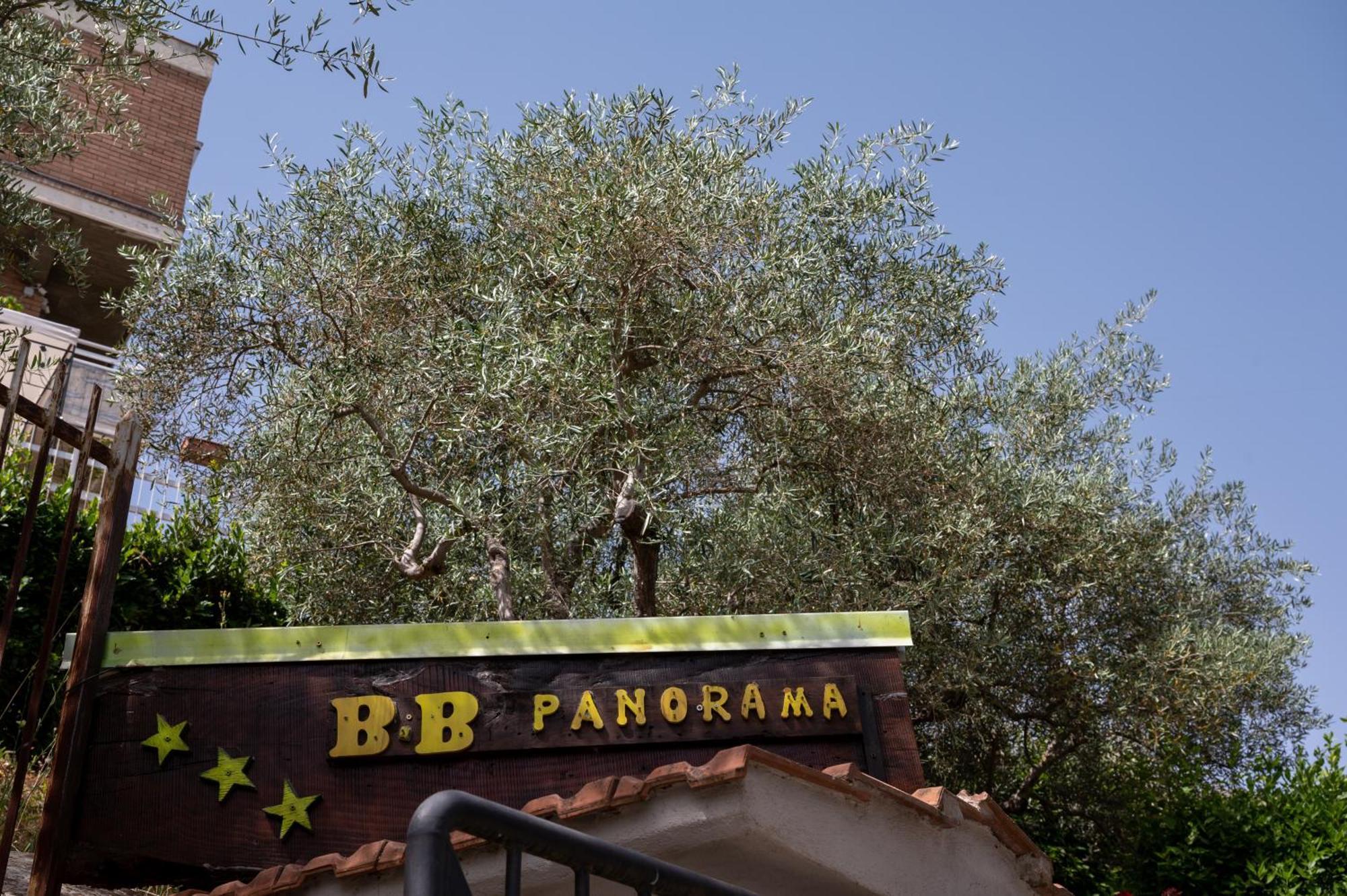 Panorama